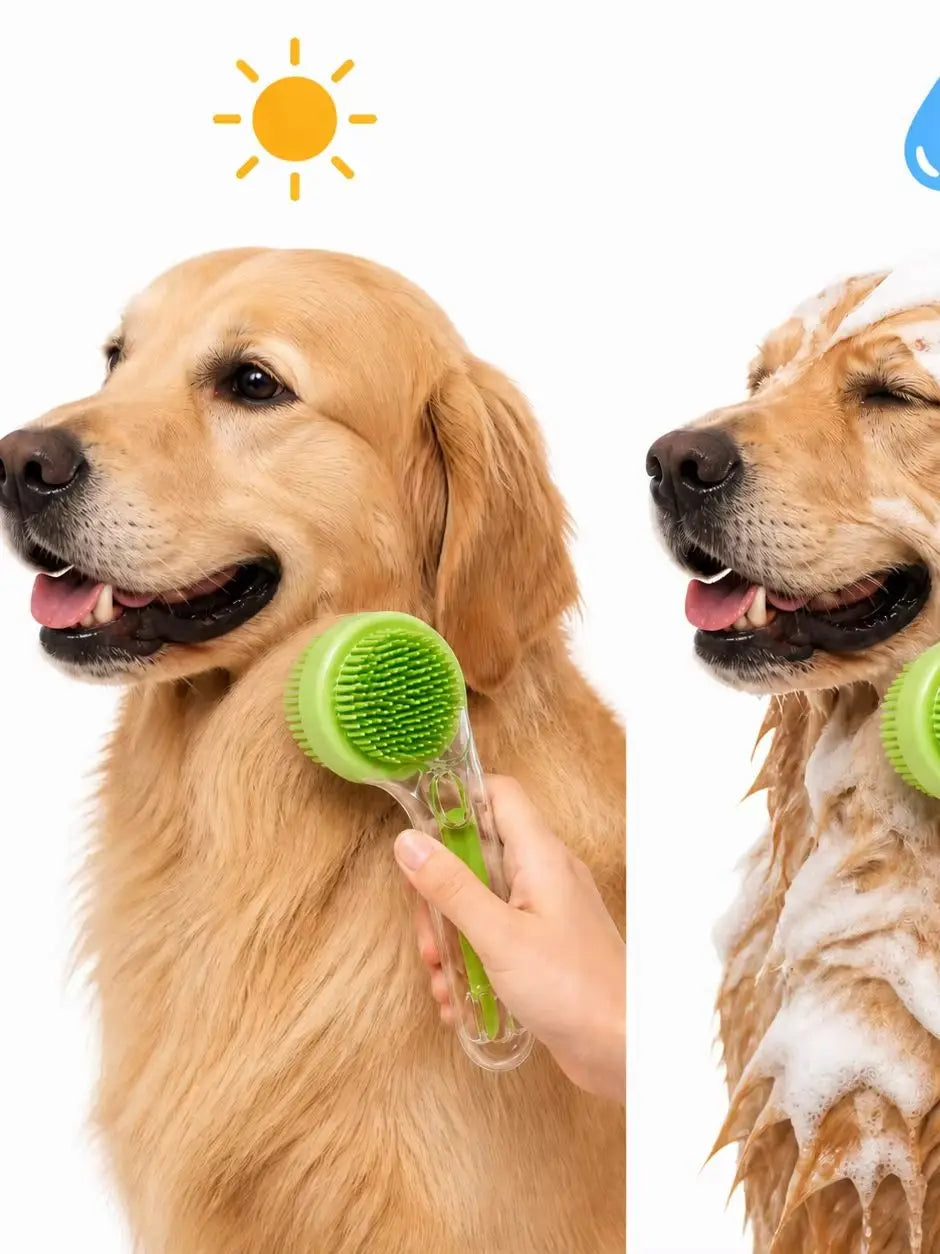 Brosse de bain pour chien et chat avec distributeur de shampoing